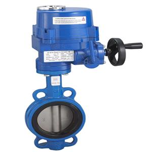 Butterfly Valve